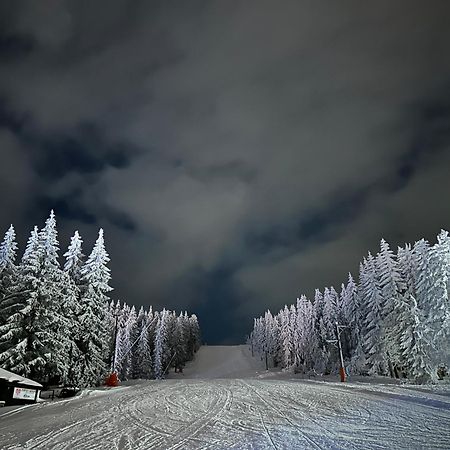 Vila Jezero Kopaonik Exterior foto